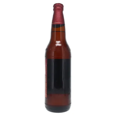Cerveja Brahma Duplo Malte Garrafa 600ml 360-14