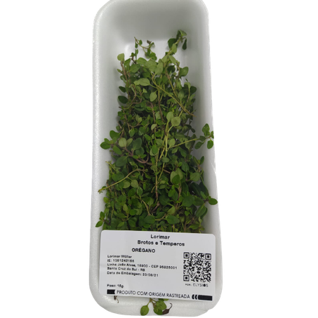 Oregano lorimar bdj