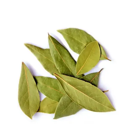 Louro folha mais sabor pacote 10g