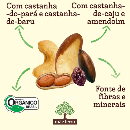 Snack Saudável de Castanhas Mãe Terra 25g 360-5