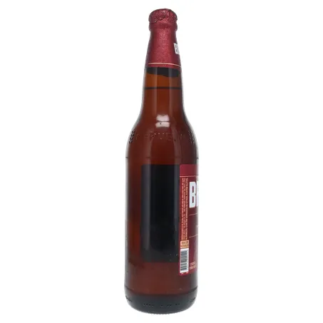Cerveja Brahma Duplo Malte Garrafa 600ml 360-25
