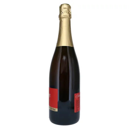 Espumante Brasileiro Salton Series Brut Rosé 750Ml 360-9