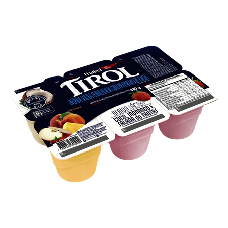 Bebida láctea frutirol coco+morango+salada de frutas 480g