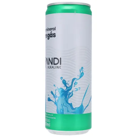 Agua mineral sarandi c/gas lata 350ml 360-7