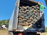 Mais de 12 toneladas de pneus são recolhidos no Ecoponto em SMOeste