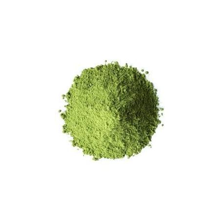 MORINGA OLEIFERA EM PÓ 100G