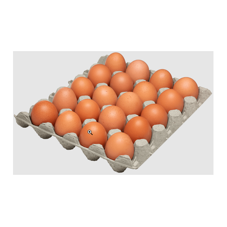OVOS VERMELHOS RENASCER 20 UNIDADES
