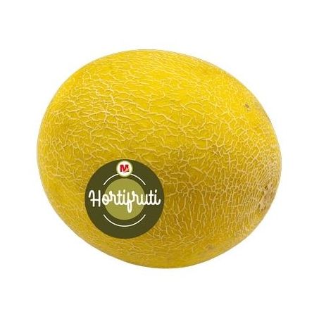 MELÃO AMARELO GAIA 360-1