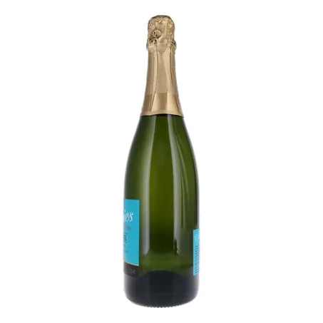 ESPUMANTE SALTON SERIES MOSCATEL 750ML 360-8