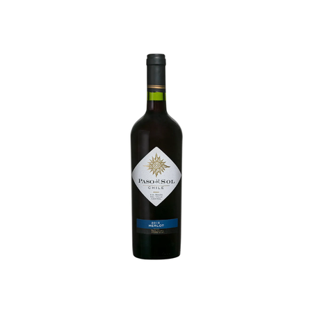 VH TT CHILENO PASO DEL SOL MERLOT 750ML