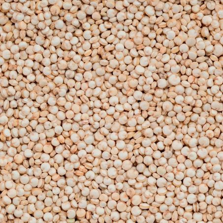 QUINOA KG