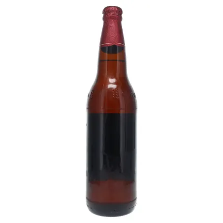 Cerveja Brahma Duplo Malte Garrafa 600ml 360-18