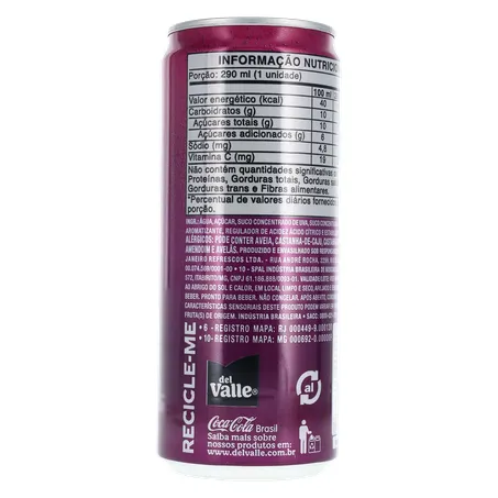 Suco Del Valle Uva Lt 290ml 360-13