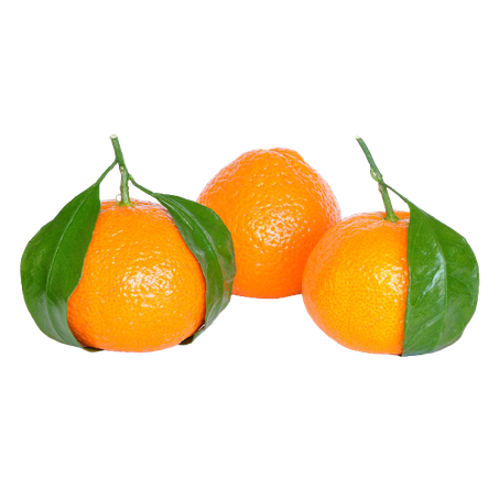 Laranja crava kg