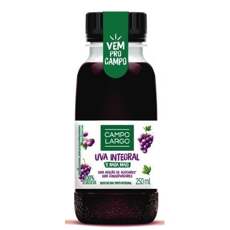 SUCO CAMPO LARGO  INTEGRAL 250ML