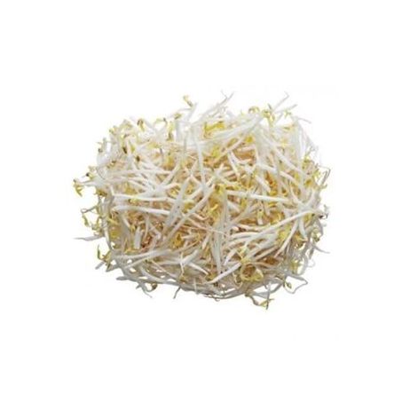 BROTO DE FEIJÃO MOYACHI BDJ 140G
