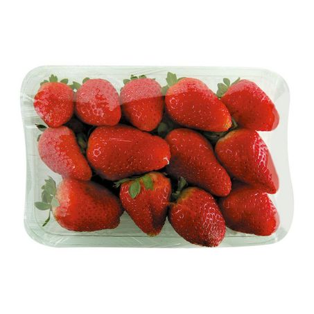Moranguinho Band.240g