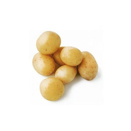 BATATA MINI