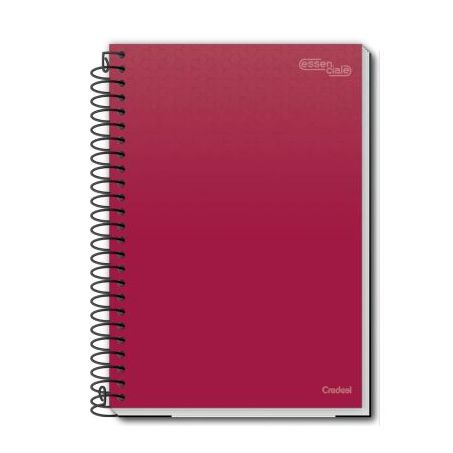 Caderno credeal 1/4 c/d essenciale 80fl