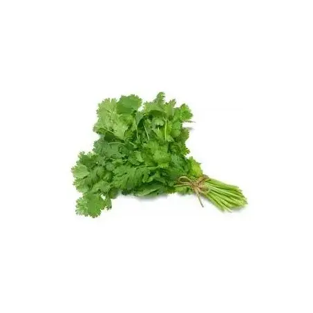  SALSA BARBIERI UN HIDROPONICA