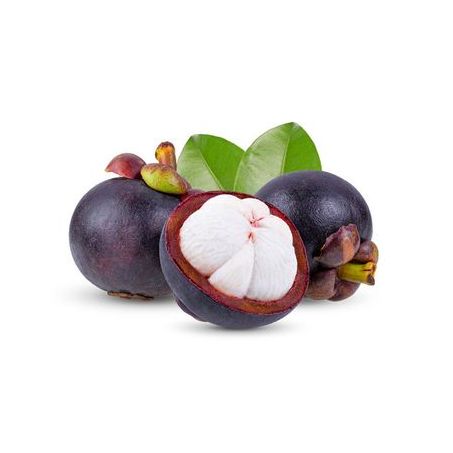 MANGOSTEEN UND