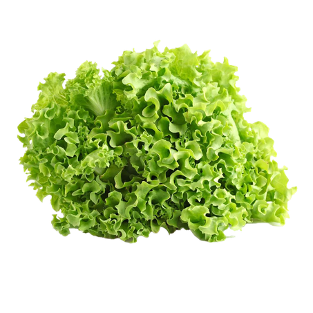 Alface Crespa Hortifuturo Higienizada 200g