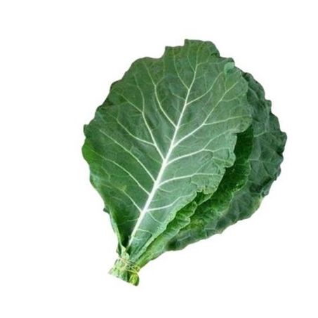 Couve verde Rodrigues