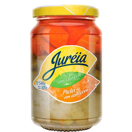PICLES CONSERVA INTEIRO 300G