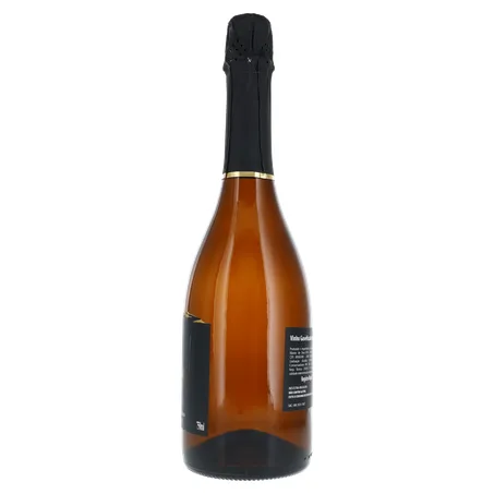 ESPUMANTE CHAMP SOLAIR DEMI SEC VILLENAVE GARRAFA 750ML 360-1