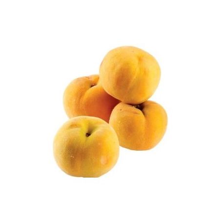 NECTARINA KG