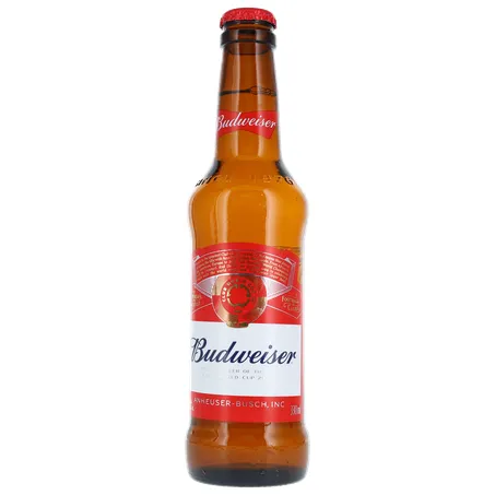 CERVEJA BUDWEISER C/CASCO LONG NECK 330ML 360-1