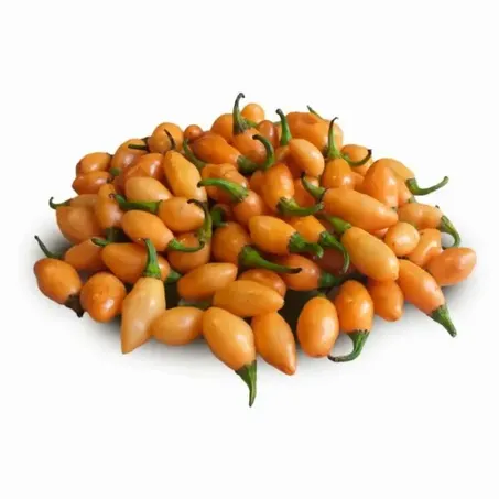 Pimenta Fidalga Kg 