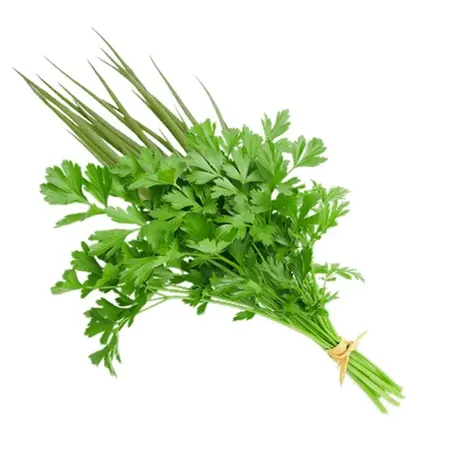 TEMPERO VERDE MACO                                
