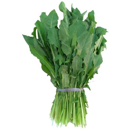 RADICHA MACO                                      