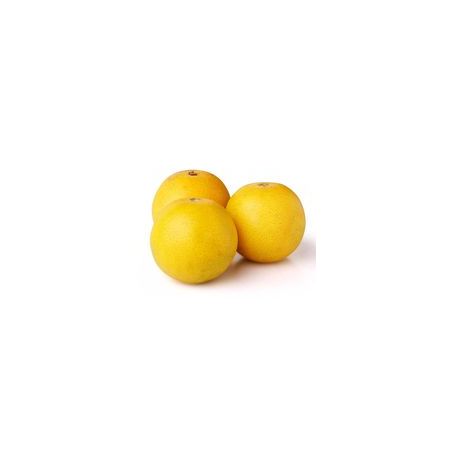 NT-LARANJA UMBIGO NACIONAL KG