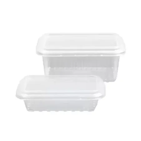POTE RETANGULAR DESC COPOZAN 250ML C/24