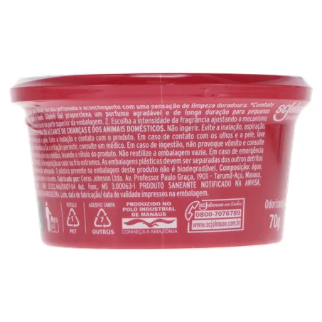 Odorizante Glade Gel Frutas E Flores Vibrantes 70G 360-23