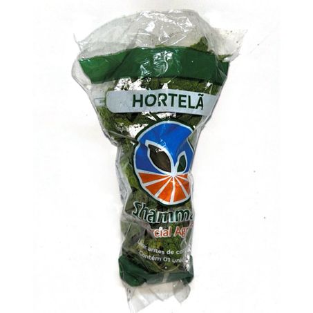 HORTELA VIDA VERDE
