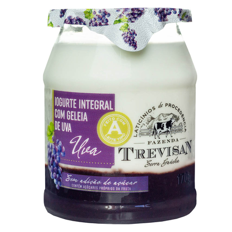 IOGURTE INTEGRAL FAZENDA TREVISAN 170G C/GELEIA UVA