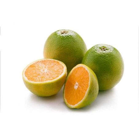 Laranja Orgânica Caore 500g