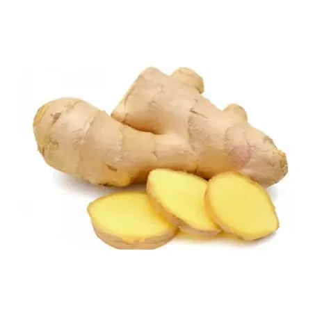 GENGIBRE KG