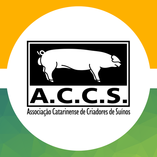 ACCS aponta cenário positivo no mercado da suinocultura