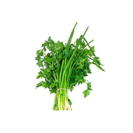 Tempero Verde UN