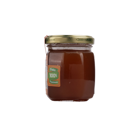 GELEIA TRADICIONAL DE PESSEGO 250G BOM PRINCIPIO 360-14