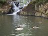 Homem de 37 anos morre afogado no Rio Cambuim