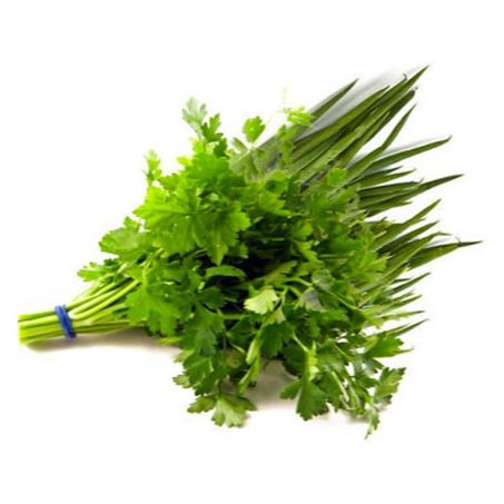 TEMPERO VERDE MOLHO