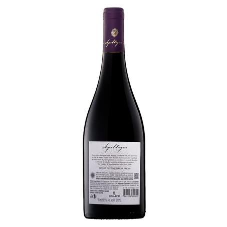 Vinho Apaltagua Reserva Syrah 750ml




 360-1