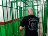 Saída temporária de presos tem evasão de 4,47% em Santa Catarina