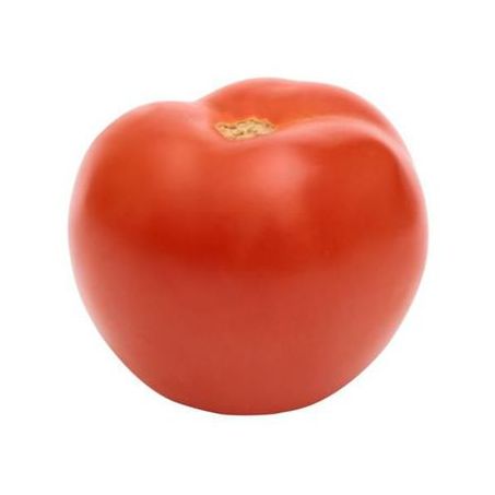 Tomate longa vida kg