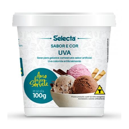 SORVETINA SELECTA UVA 100G